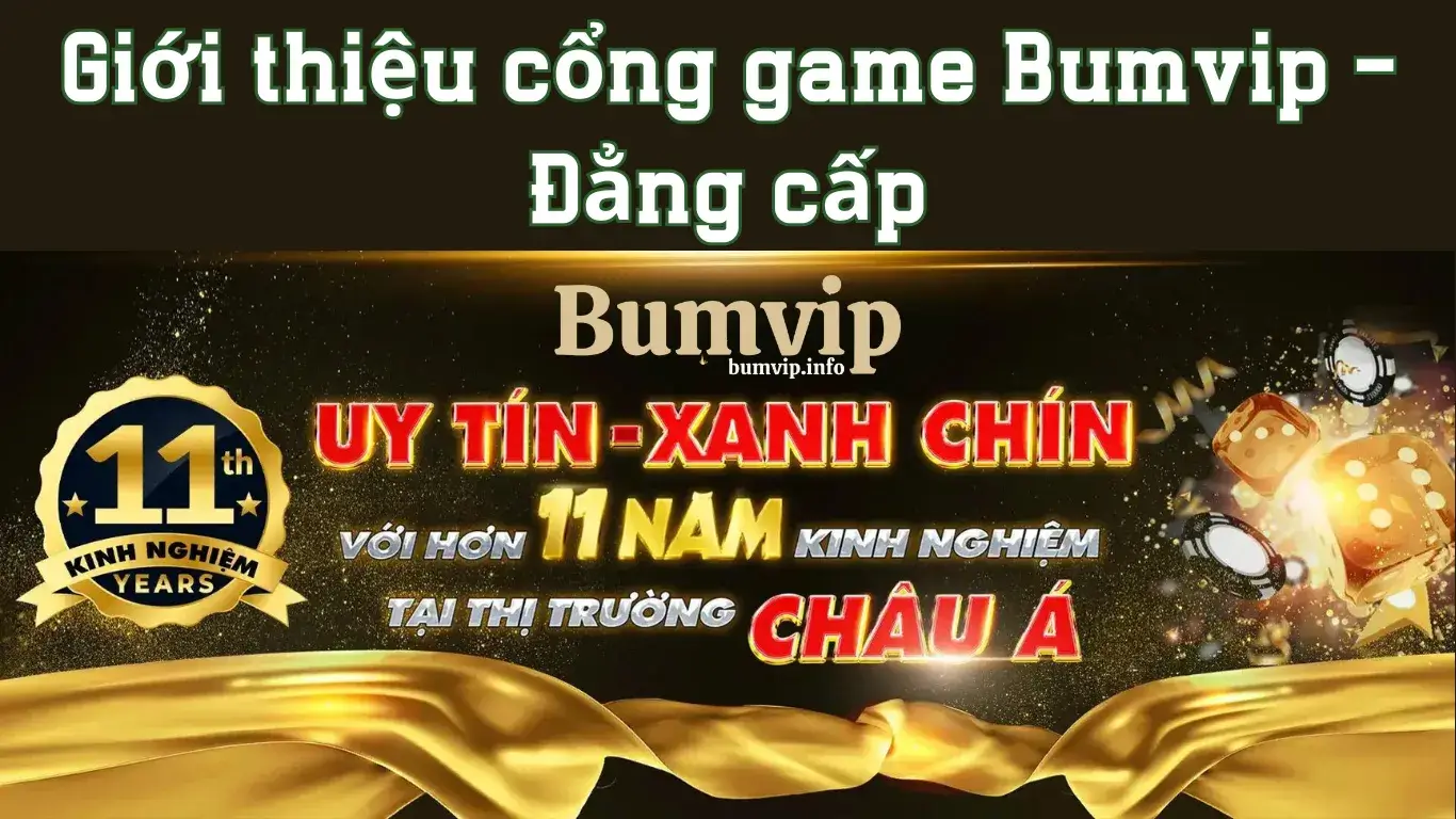 Giới thiệu Bumvip cùng những ưu điểm nổi bật