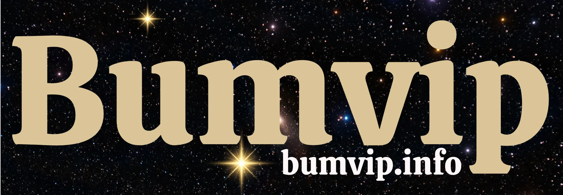 bumvip.info