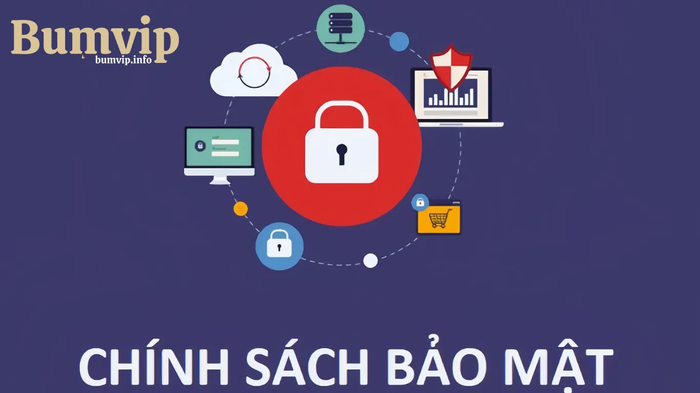 Chính sách bảo mật Bumvip là gì?